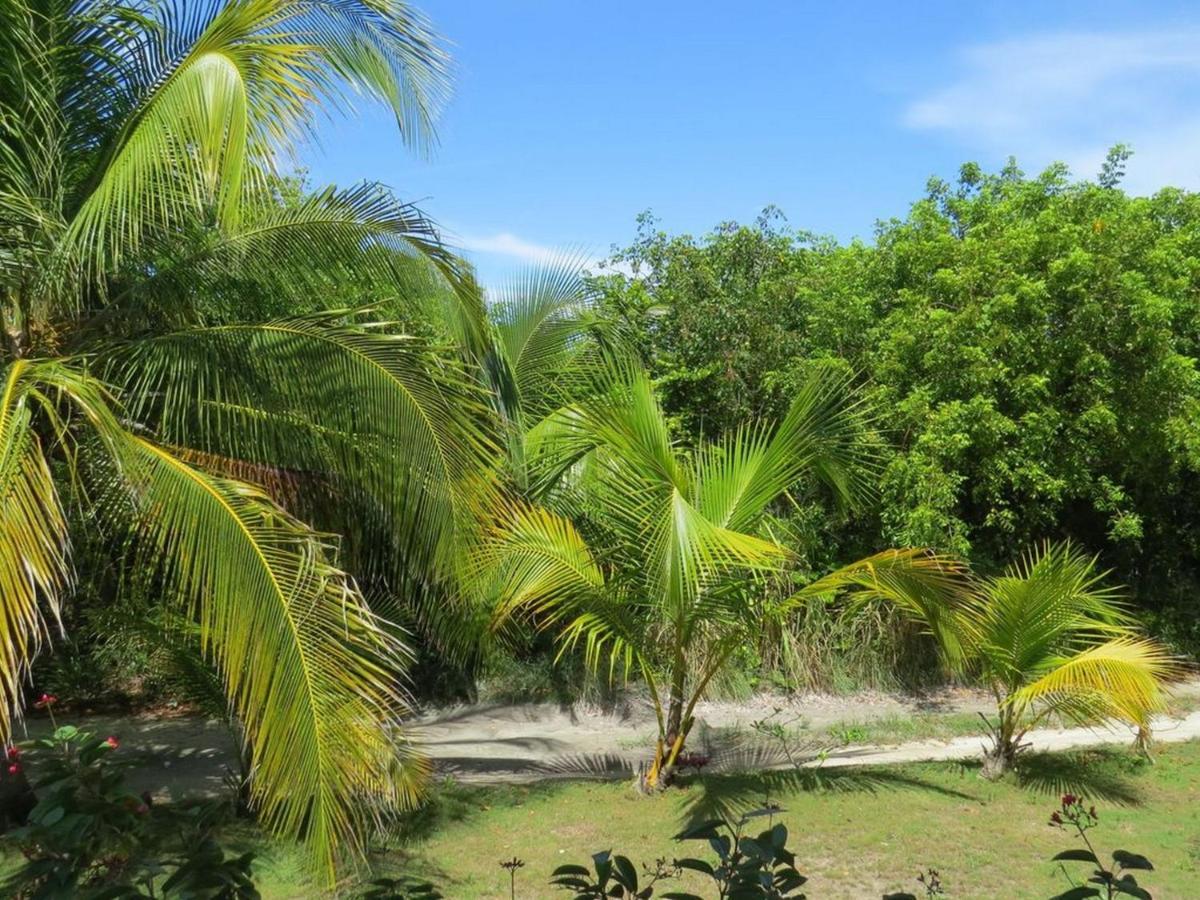 Orchid Cottage By Eleuthera Vacation Rentals ガバナーズ・ハーバー エクステリア 写真