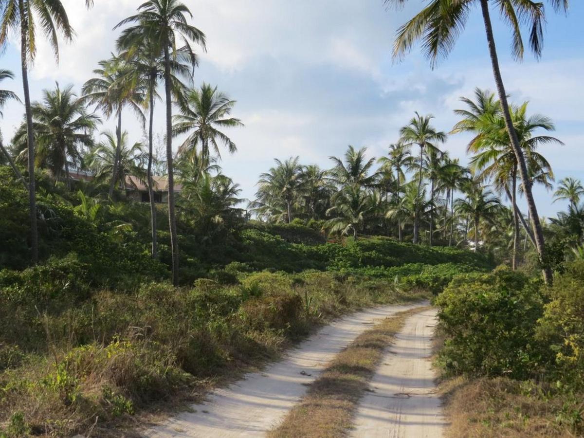 Orchid Cottage By Eleuthera Vacation Rentals ガバナーズ・ハーバー エクステリア 写真